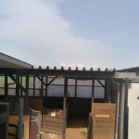 Schoenes Appartement " Die Ponybude" Auf Unserem Reiterhof Birkenbeul Extérieur photo
